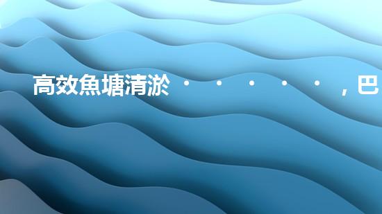 高效魚塘清淤，巴洛仕設(shè)備助力生態(tài)養(yǎng)殖